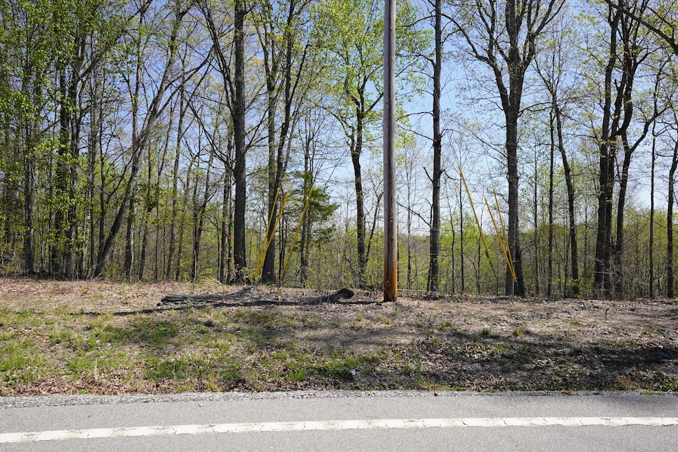 1 Highway 232, Stewart, TN 37175 - photo 1