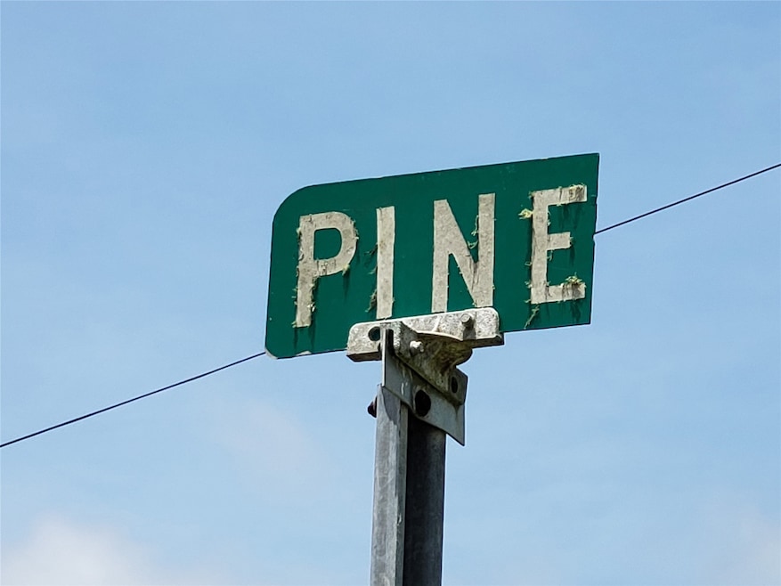 6023 Pine, Brazoria, TX 77422 - photo 1