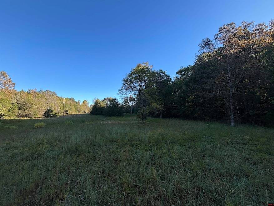 677319890006773 Timbercrest Rd, Viola, AR 72583 - photo 1