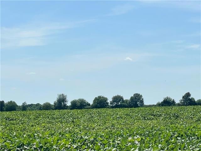 205th Lackman Rd, Spring Hill, KS 66083 - photo 1