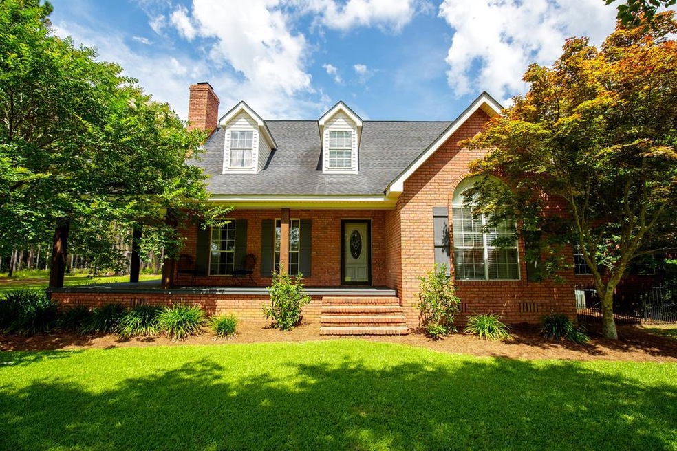 3236 Old Albany Rd, Doerun, GA 31744 - photo 1