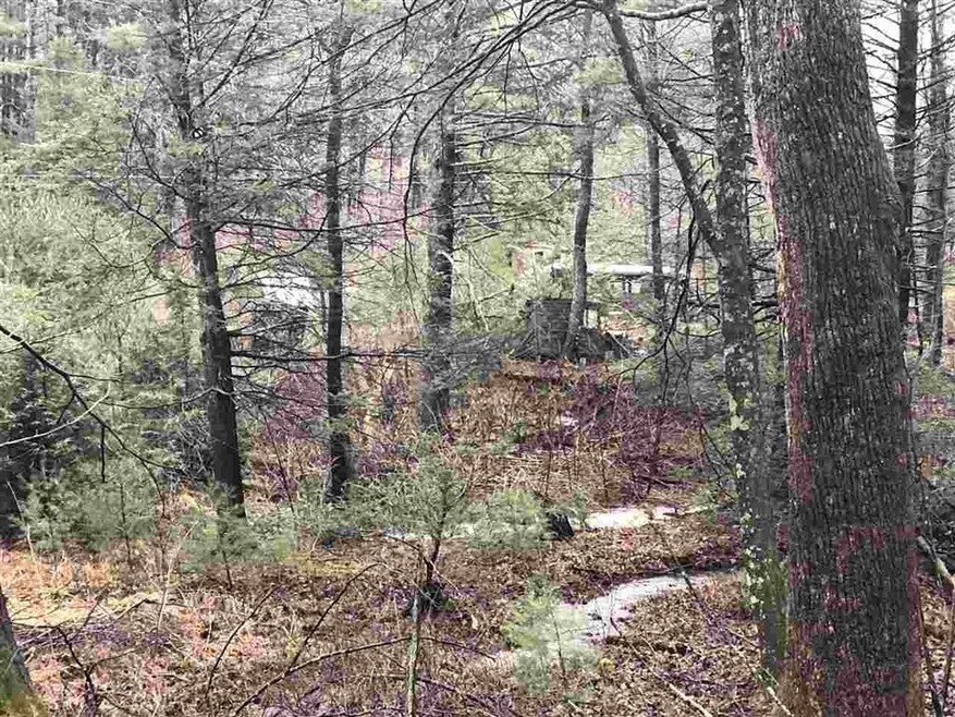 0 Mongold Hollow Rd, Mathias, WV 26812 - photo 1