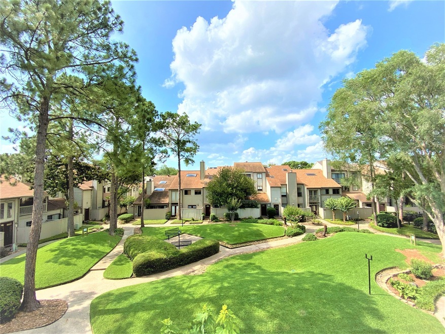 1039 Country Place Dr unit 1039, Houston, TX 77079 - photo 1