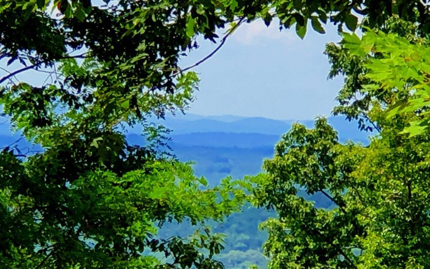 Main View