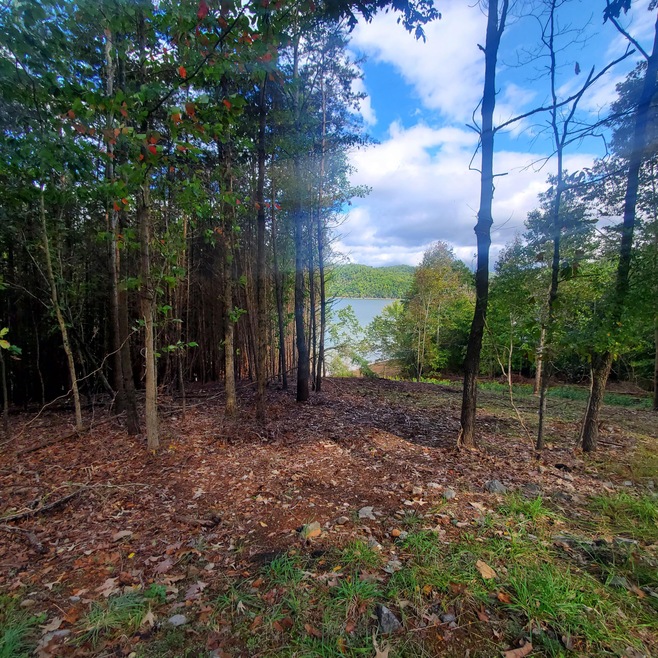 View from adjoining cleared lot