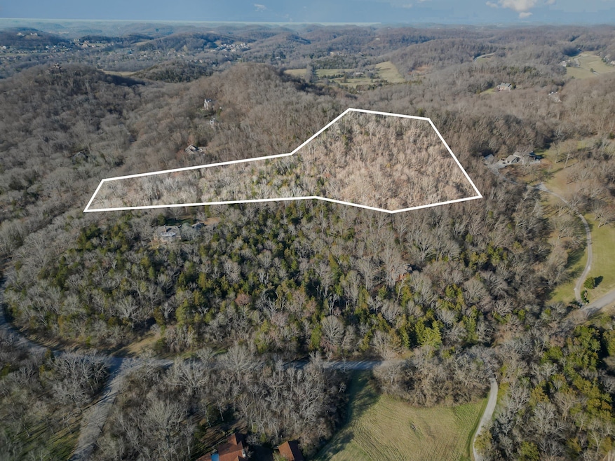 1009 Scramblers Knob, Franklin, TN 37069 - photo 1