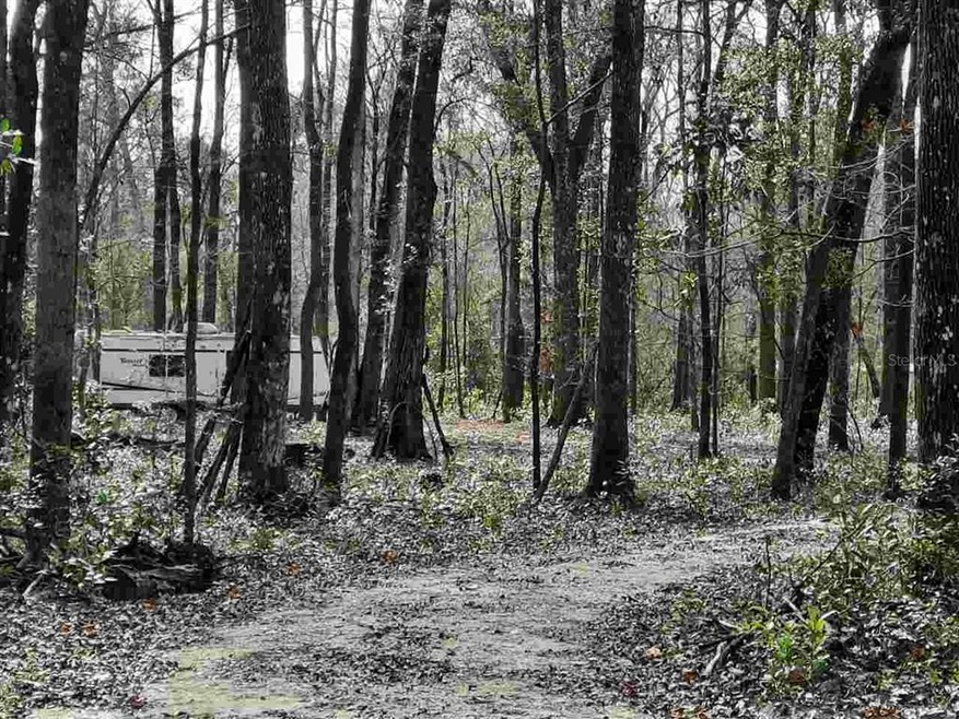 00 288th Terrace, Branford, FL 32008 - photo 1