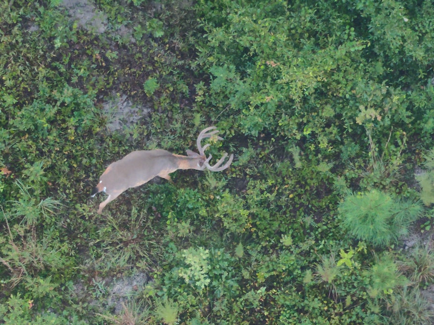 0 Laurel Branch Church Rd, Ivey, GA 31031 - photo 1