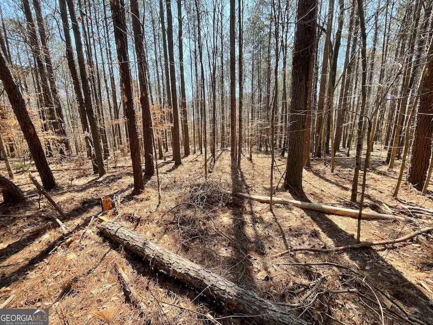 For Sale $99,000 • Co-Listing Agent