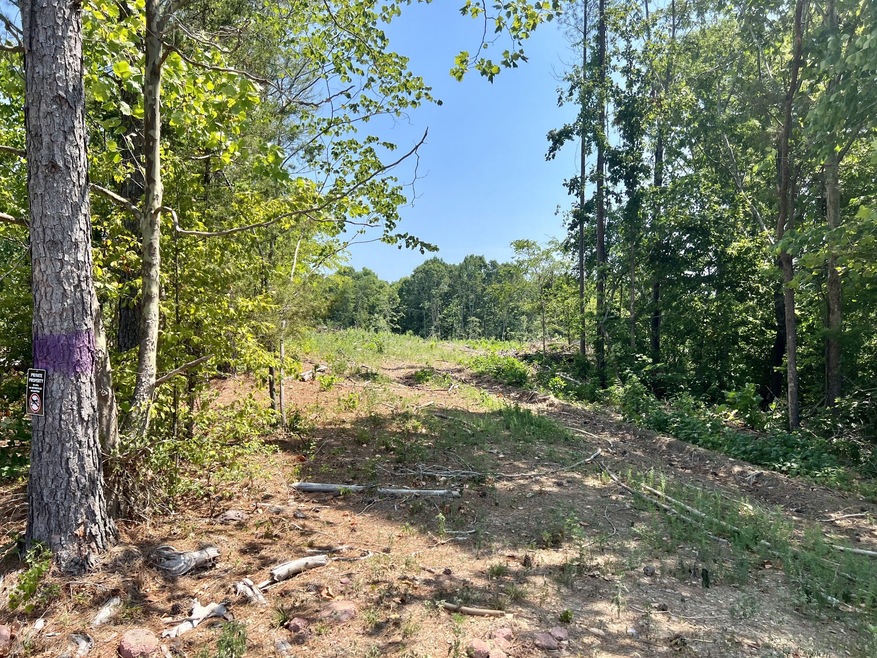 0 Mathis Cemetery Rd unit RTC2414563, Stewart, TN 37175 - photo 1