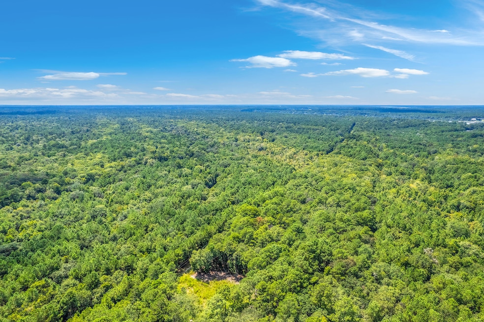 2 Shadow Pond Rd, Johns Island, SC 29455 - photo 1