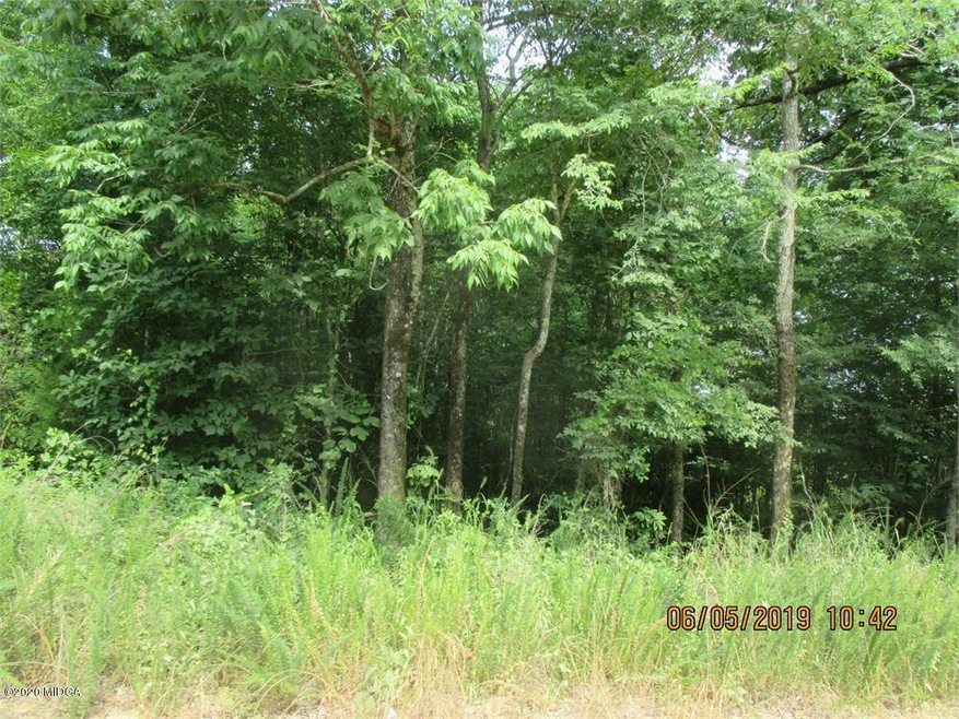 2435 Dennis Rd, Macon, GA 31220 - photo 1