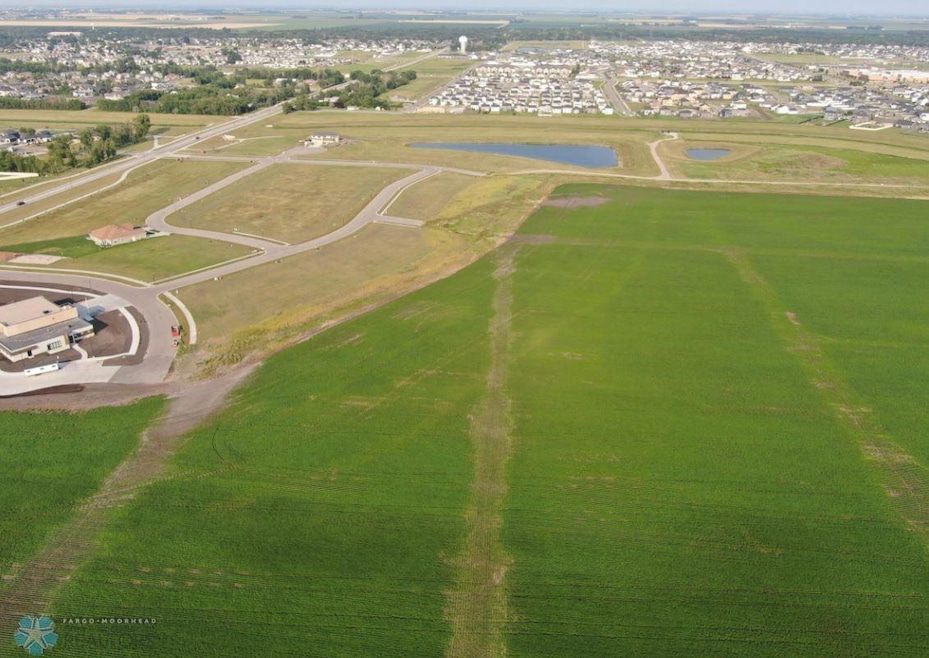 Selkirk1.JPG