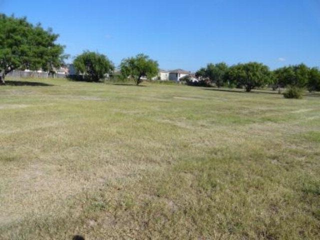 3502 S Jackson Rd, Edinburg, TX 78539 - photo 1