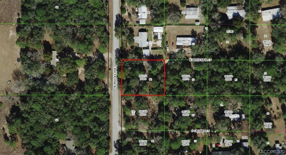 1050 E Whistler Ct, Hernando, FL 34442 - photo 1