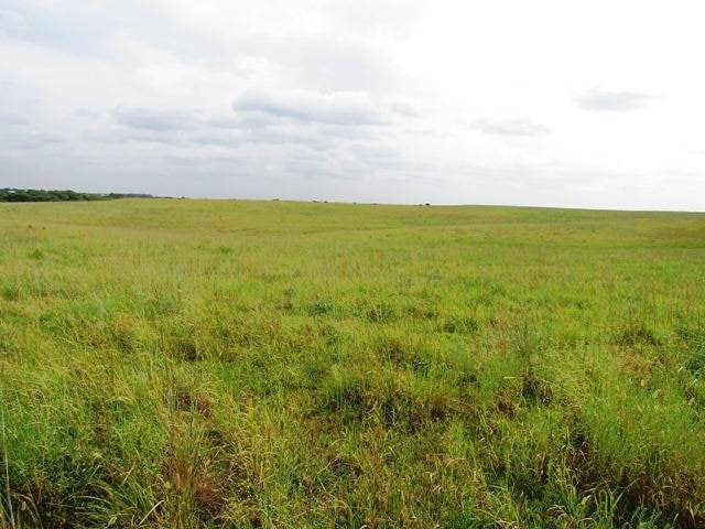 For Sale $153,000