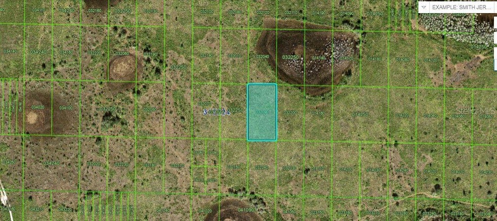 0 N A unit MFRO6229088, Frostproof, FL 33843 - photo 1