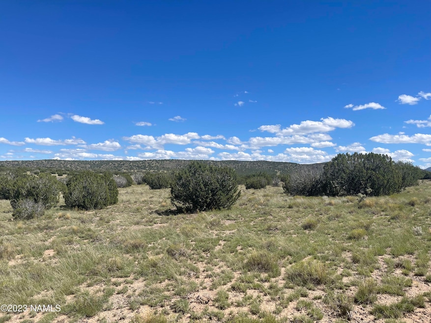 2272 W Critter Pass Photo 10