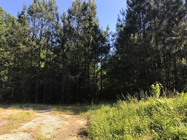 9070 Ga Highway 74, Macon, GA 31220 - photo 1