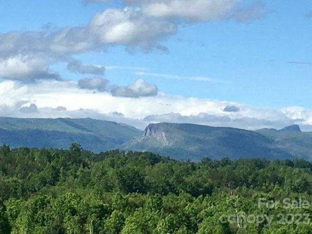 0 Highway 70 E, Nebo, NC 28761 - photo 1