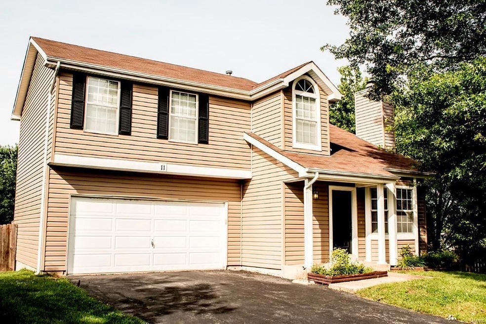 Newer Vinyl Siding