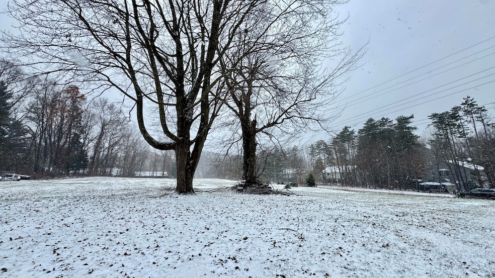 6593 134th Ave, Saugatuck, MI 49453 - photo 1