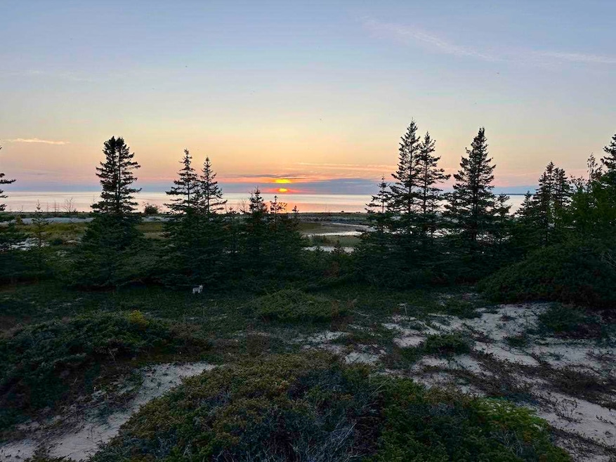 TBD Mrs Reddings Trail unit Parcel 5, Beaver Island, MI 49782 - photo 1