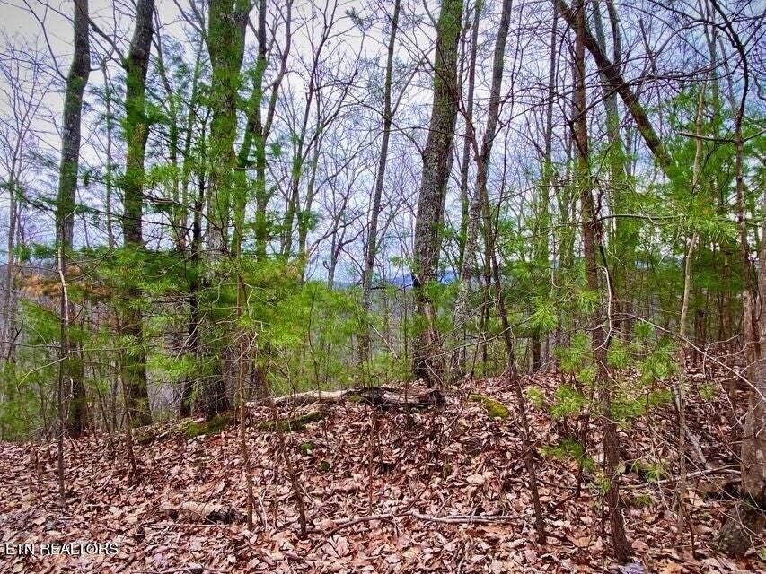 0 Oliver James Way unit 1278736, Sevierville, TN 37862 - photo 1