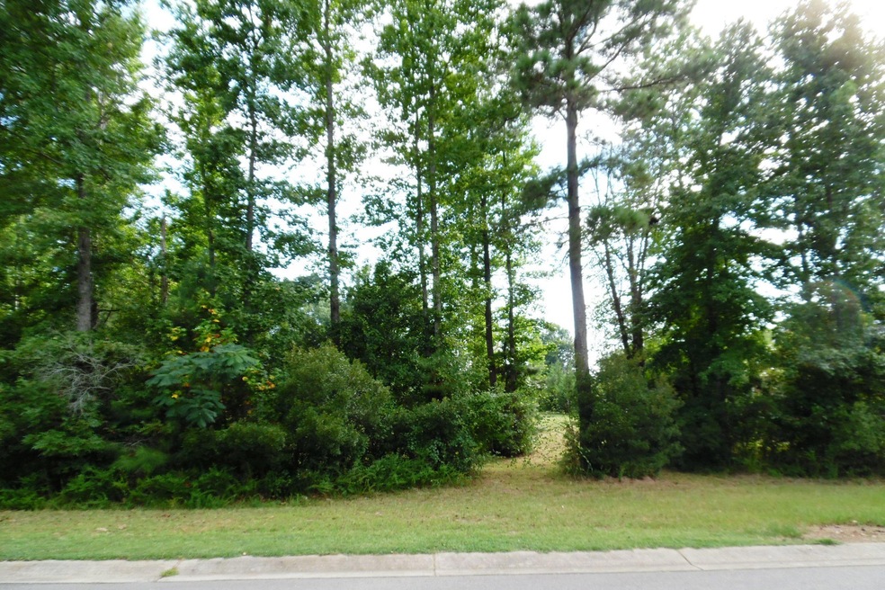 Lot 37