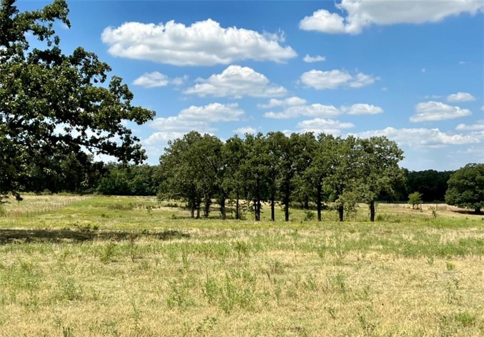 19800 Gaddy Rd, Tecumseh, OK 74873 - photo 1