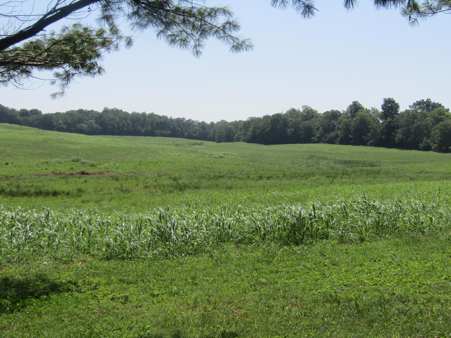 1095 Hwy 33 S unit B, Harrodsburg, KY 40330 - photo 1