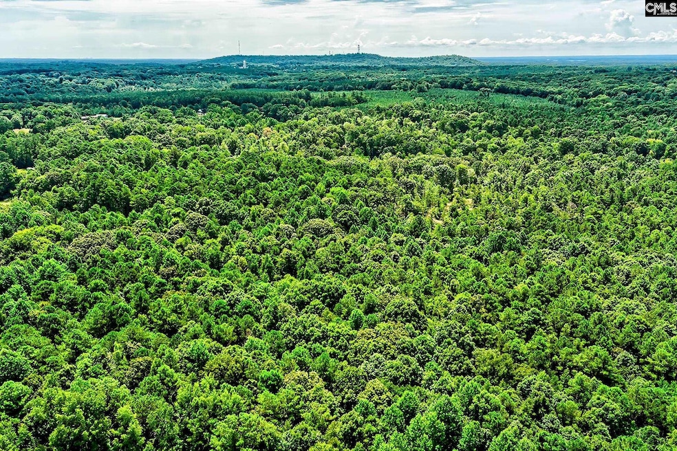 1549 Doctor Bowers Rd, Little Mountain, SC 29075 - photo 1