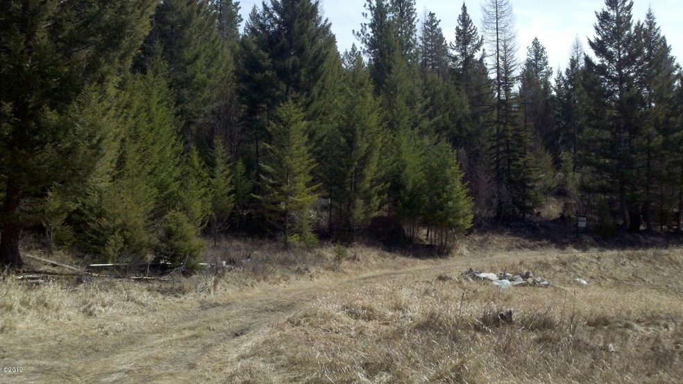 1004 Spring Hill Rd, Kila, MT 59920 - photo 1