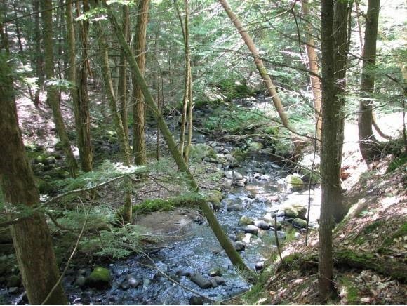 0 Dick Brown Rd unit 4251141, Bridgewater, NH 03222 - photo 1