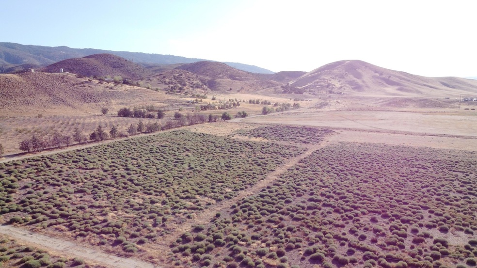 DJI_0041