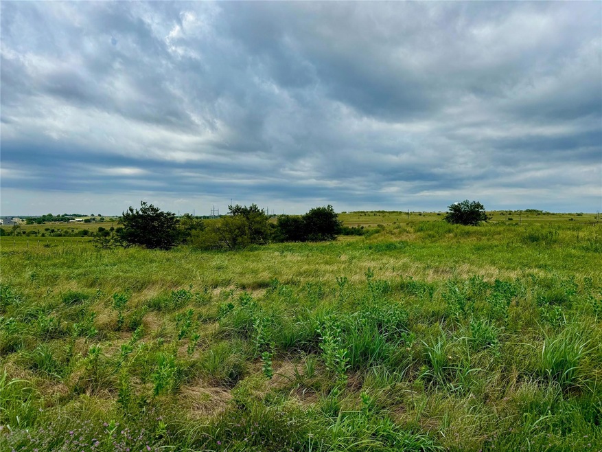 166 John Chisholm Rd unit A, Weatherford, TX 76087 - photo 1