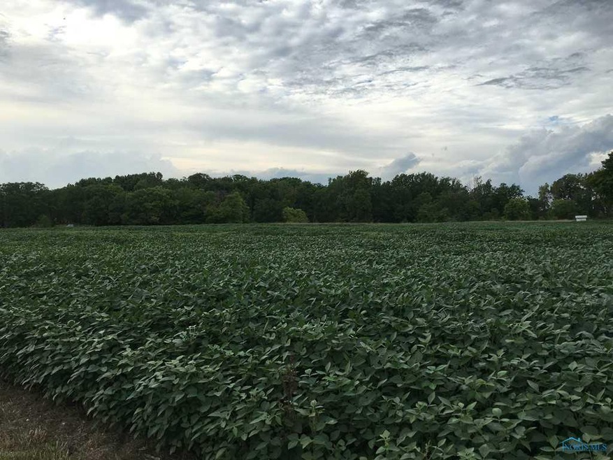 0 Poe Rd St W unit 5107433, Grand Rapids, OH 43522 - photo 1