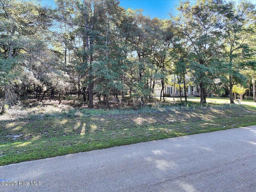 3349 Stone Crab SW, Supply, NC 28462 - photo 1