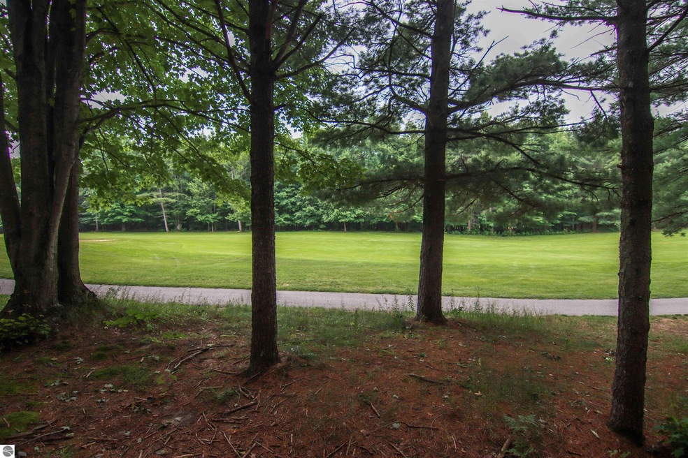 0000-Unit 39 Trailside Dr, Weldon Township, MI 49683 - photo 1