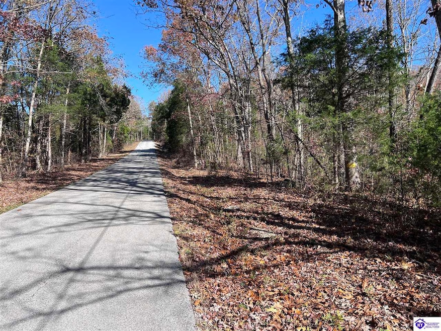 0 Mount Zion Rd unit HK25004890, Bowling Green, KY 42101 - photo 1