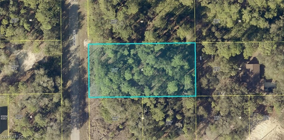 1802 Robert Ave, Lehigh Acres, FL 33972 - photo 1