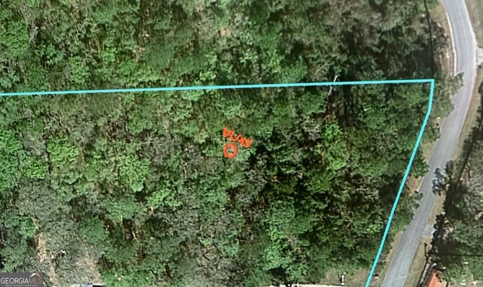 VL/45 PINE DRIV Pine Dr, Woodbine, GA 31569 - photo 1