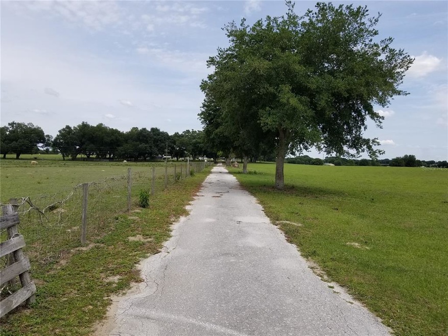 13441 N Us Highway 301, Oxford, FL 34484 - photo 1