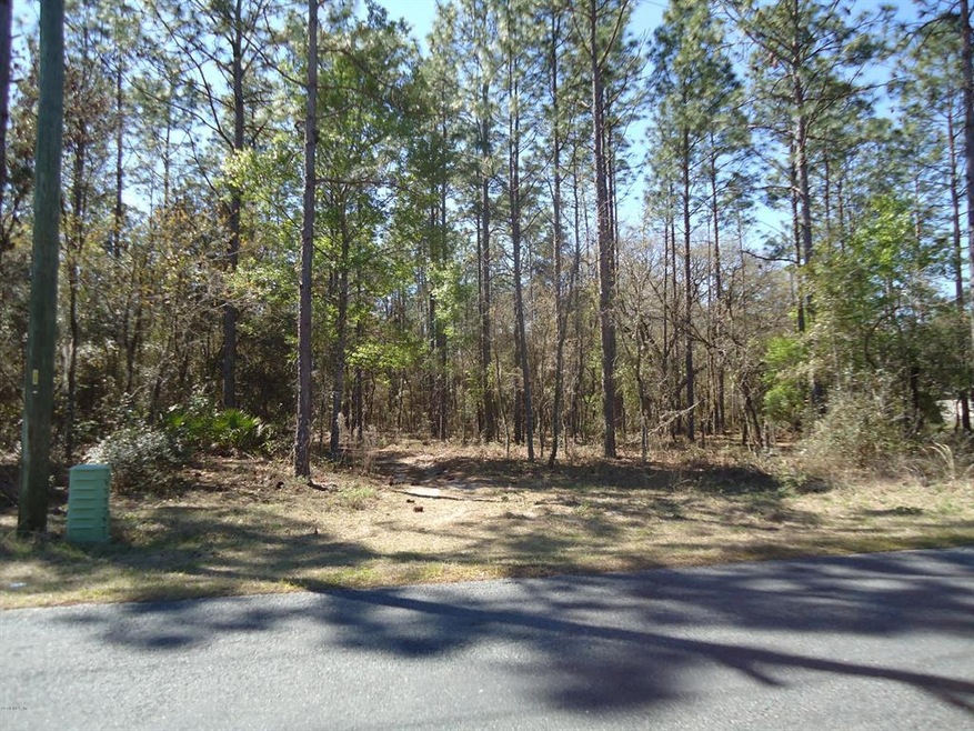 19000 SW 44th St, Dunnellon, FL 34432 - photo 1