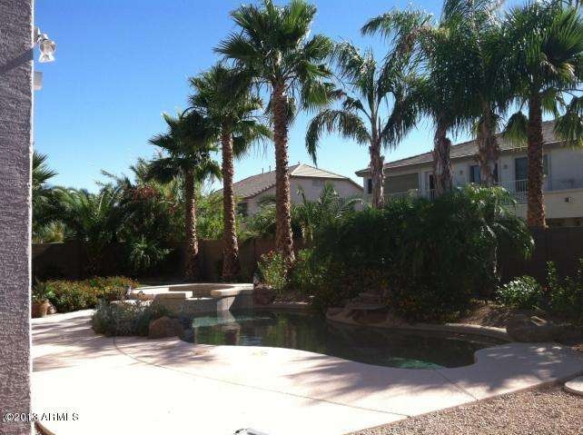 4102 Adelle Backyard