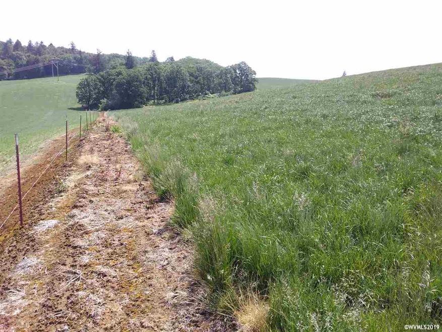 7881 Dennison Rd SE, Stayton, OR 97383 - photo 1