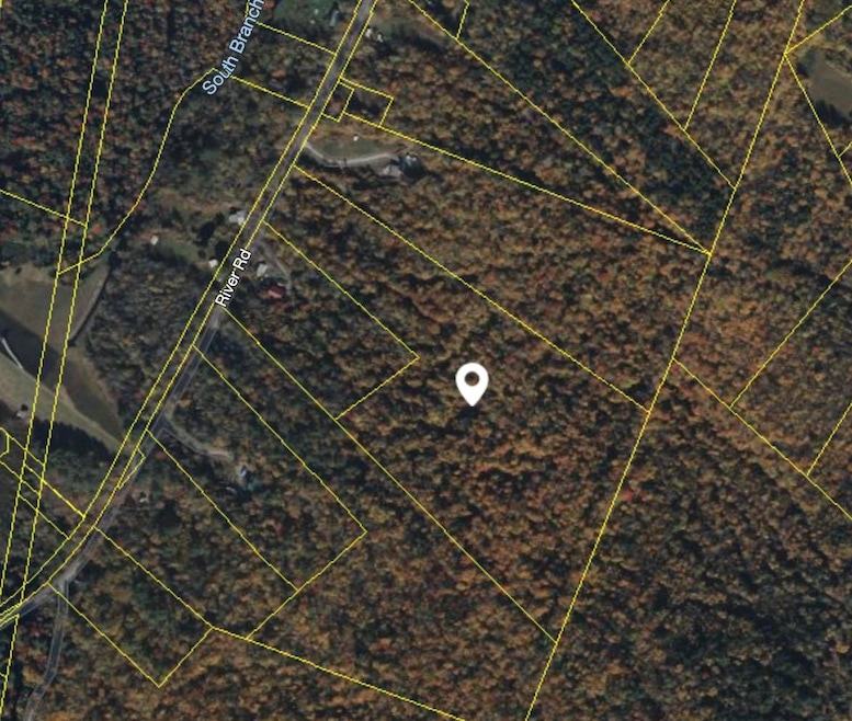 Plot Area