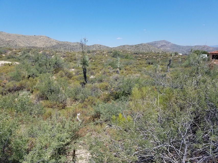 TontoHills101Landscape5