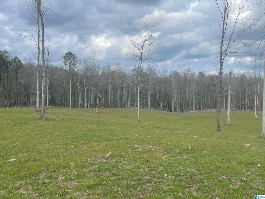 0004 Truman Aldrich Pkwy, West Blocton, AL 35184 - photo 1