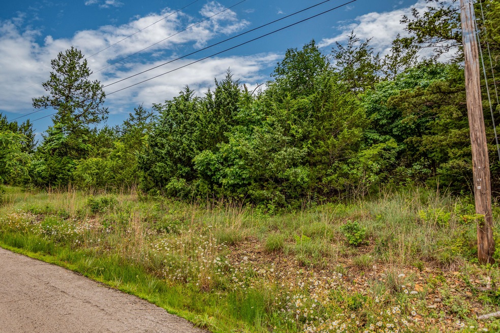 Lot 13 N Wilderness Trail, Kimberling City, MO 65686 - photo 1
